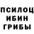 Псилоцибиновые грибы прущие грибы denigo100