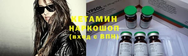ПСИЛОЦИБИНОВЫЕ ГРИБЫ Алексин