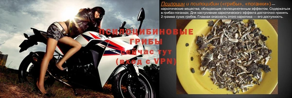 ПСИЛОЦИБИНОВЫЕ ГРИБЫ Алексин