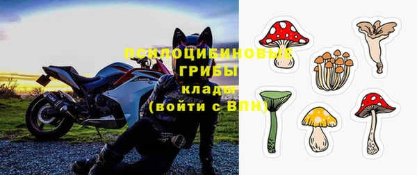 ПСИЛОЦИБИНОВЫЕ ГРИБЫ Алексин