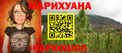 гидропоника Можга