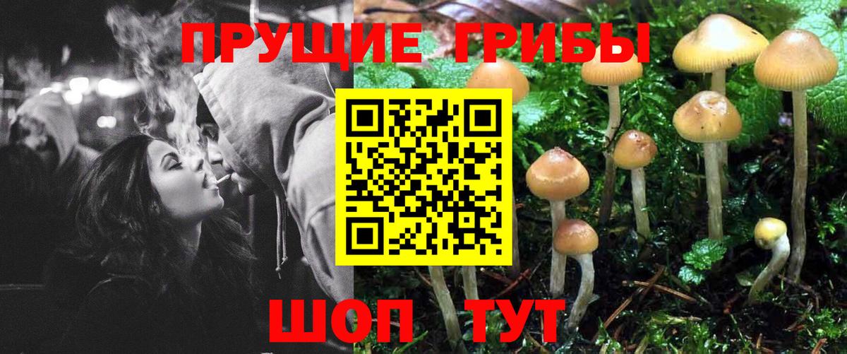 Псилоцибиновые грибы мухоморы  Вход с VPN  купить   Сунжа 