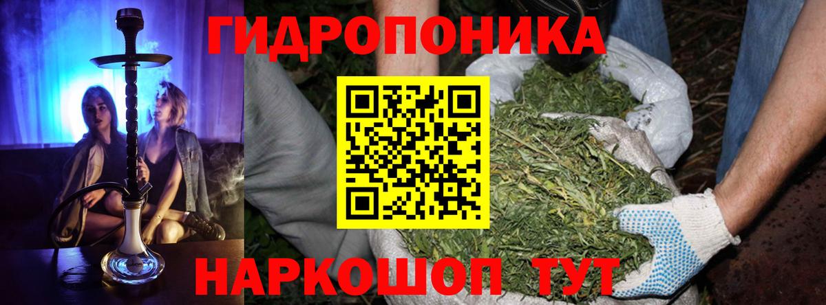 Каннабис White Widow Сунжа